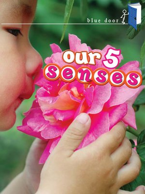 cover image of Our 5 Senses